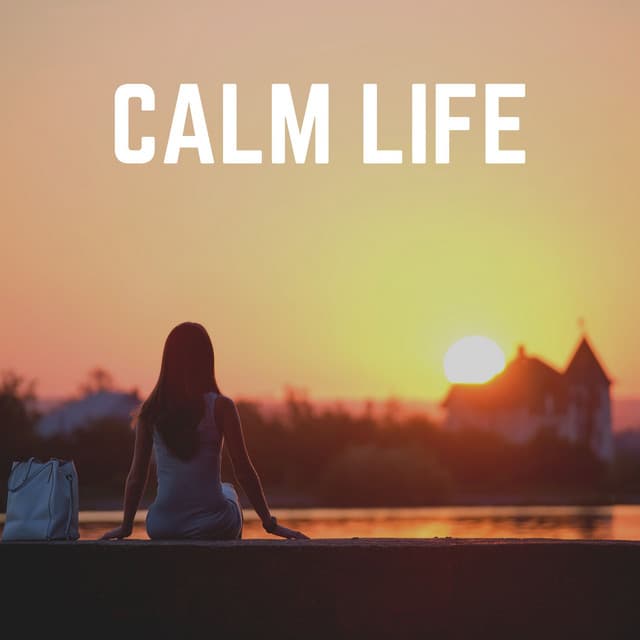 Calm Life - Healing Music Spirit