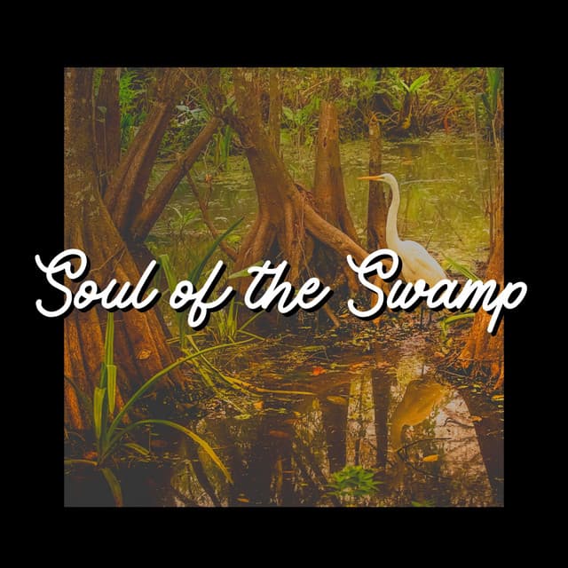 Soul of the Swamp - The Nature Soundscapes