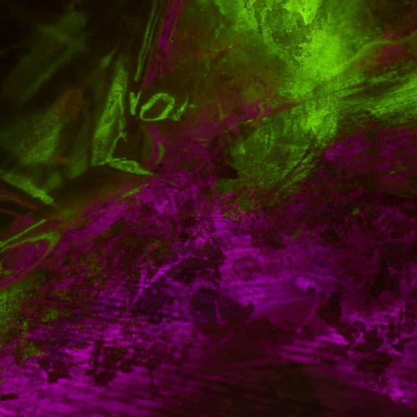 Music for Fun Rhythm - Cafe Smooth Jazz Radio