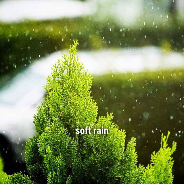 * soft rain * - Lightning, Thunder and Rain Storm