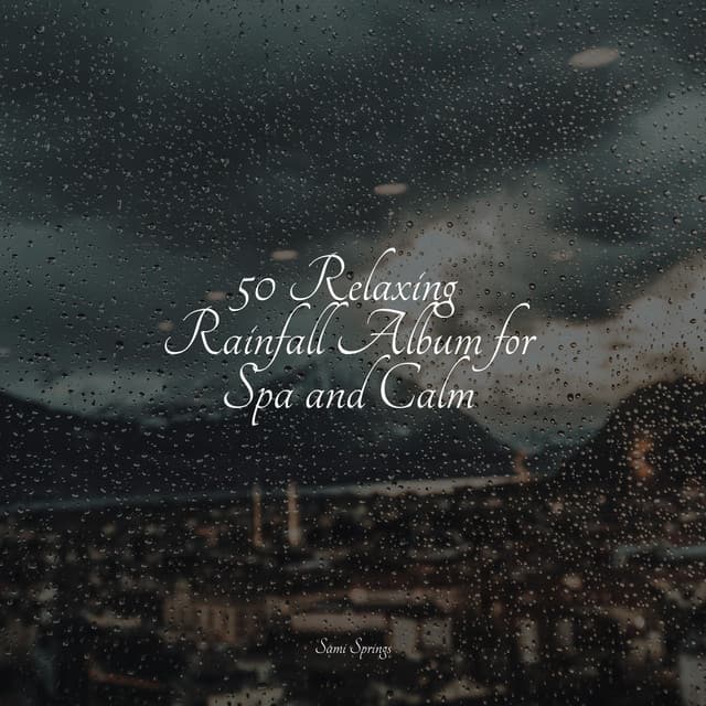 50 Relaxing Rainfall Album for Spa and Calm - Sleep Rain
