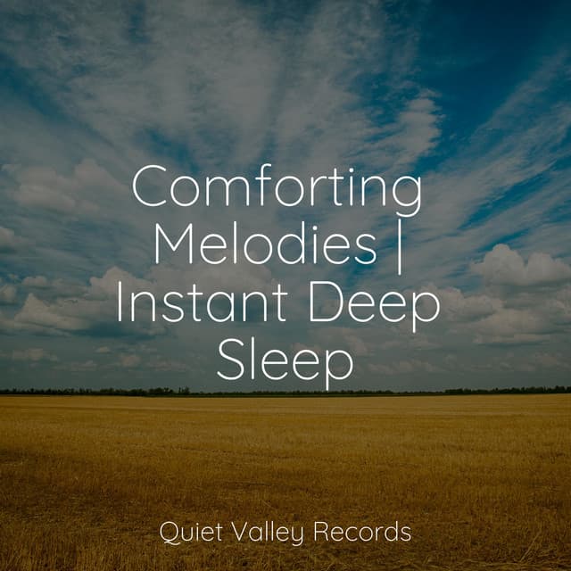 Comforting Melodies | Instant Deep Sleep - Active Baby Music Workshop