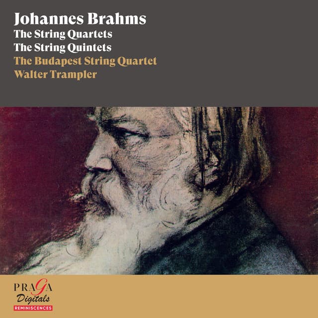 Johannes Brahms: The String Quartets & The String Quintets - Johannes Brahms
