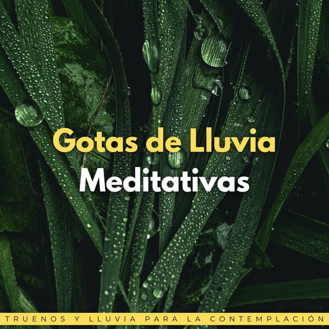Gotas De Lluvia Meditativas: Truenos Y Lluvia Para La Contemplación - Proyecto Global Tormenta