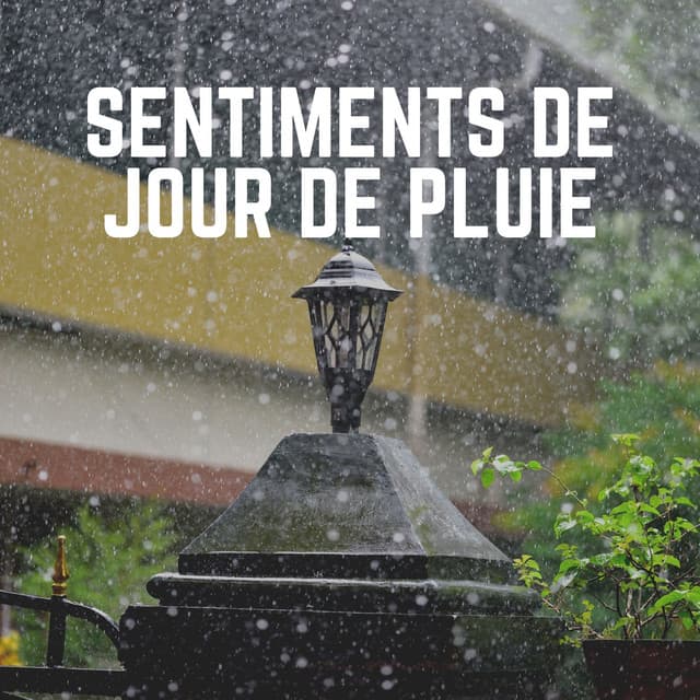 Sentiments de Jour de Pluie - Hi-Def FX