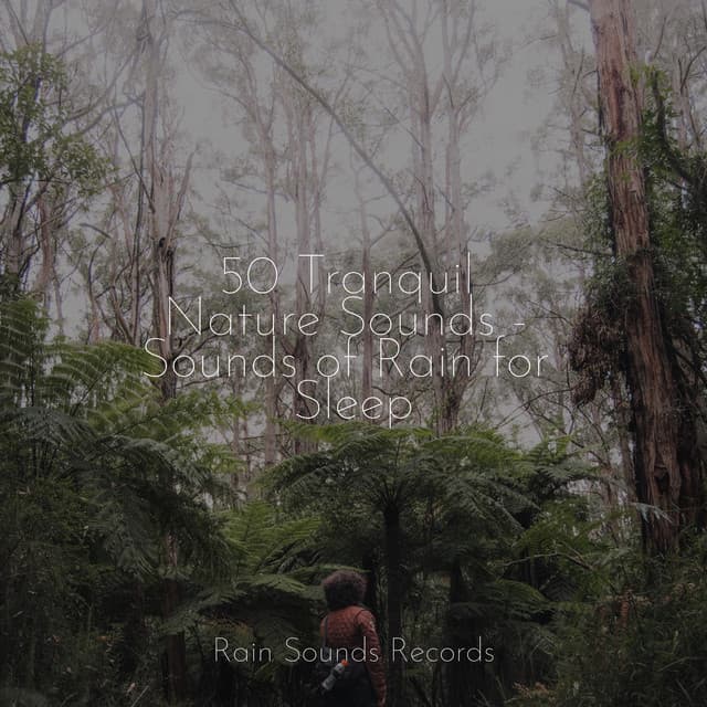 50 Tranquil Nature Sounds - Sounds of Rain for Sleep - Meeresrauschen