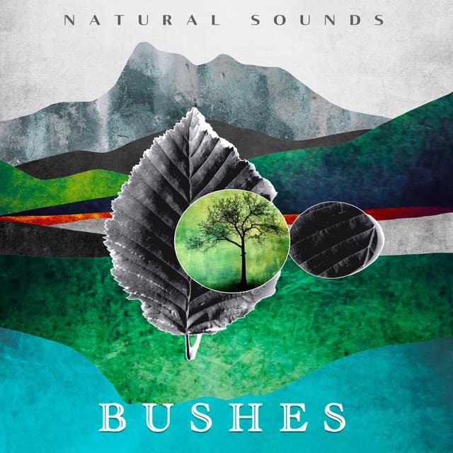Bushes - Natural Sounds
