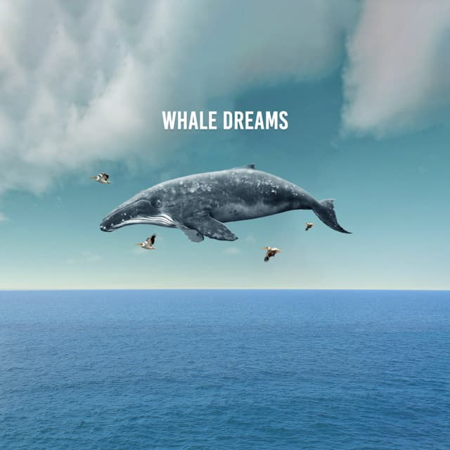 Whale Dreams - Sounds for Life