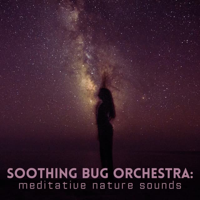 Soothing Bug Orchestra: Meditative Nature Sounds - Music of the Forest