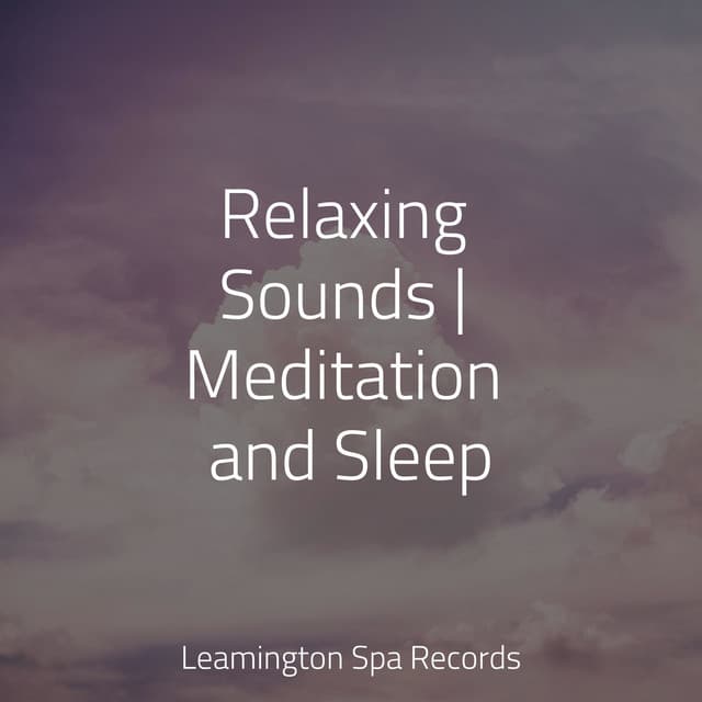 Relaxing Sounds | Meditation and Sleep - Nature Sounds for Relaxation and Sleep