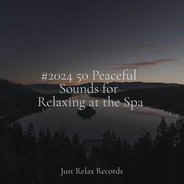 #2024 50 Peaceful Sounds for Relaxing at the Spa - Música a Relajarse