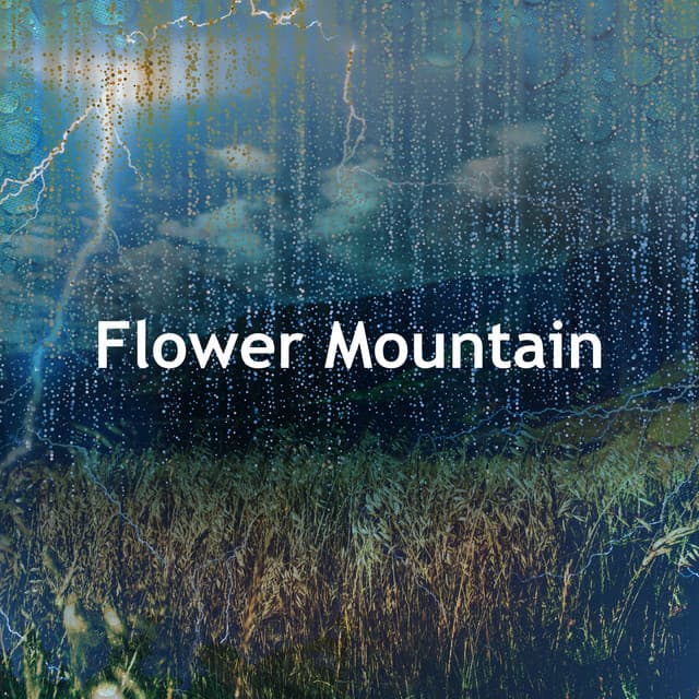 Flower Mountain - NREM