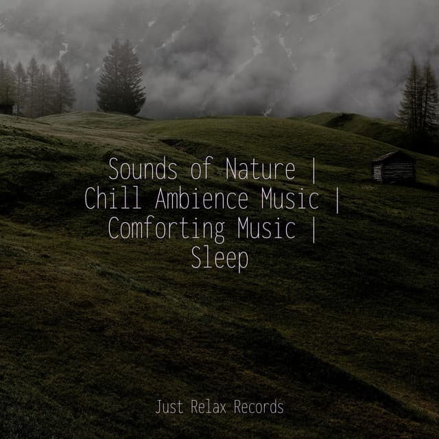 Sounds of Nature | Chill Ambience Music | Comforting Music | Sleep - Relajacion Del Mar