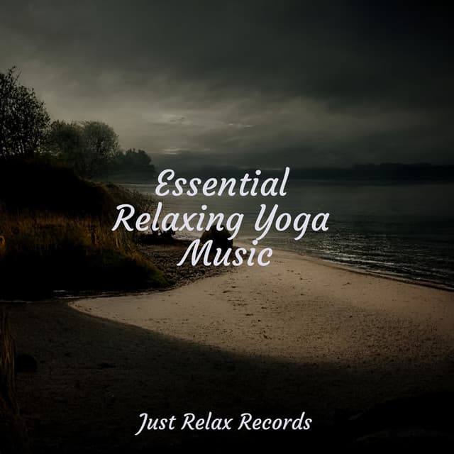 Essential Relaxing Yoga Music - Study Hard
