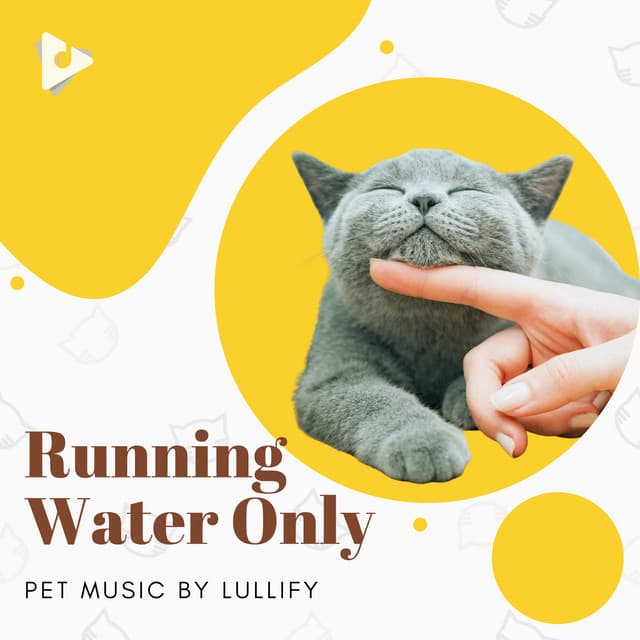 Calming Music for Cats