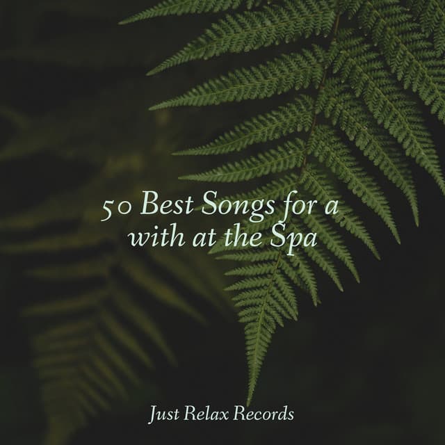 50 Best Songs for a with at the Spa - Kinderliederbande