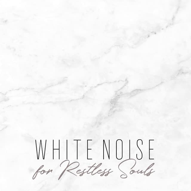 White Noise Universe