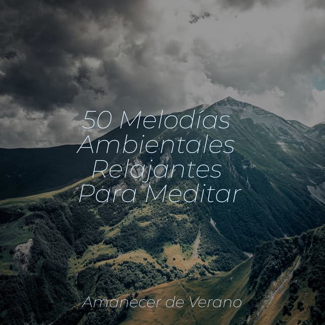 50 Melodías Ambientales Relajantes Para Meditar - Guitarra Clásica Española