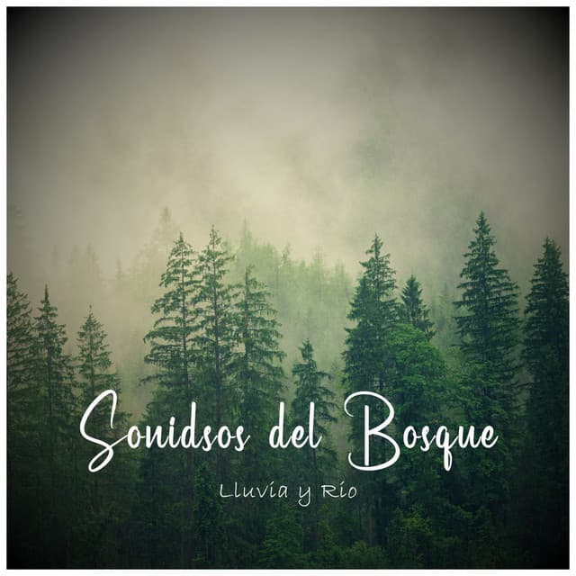 Sonidos del Bosque: Lluvia y Río - Sonidos de Lluvia by BNLXA