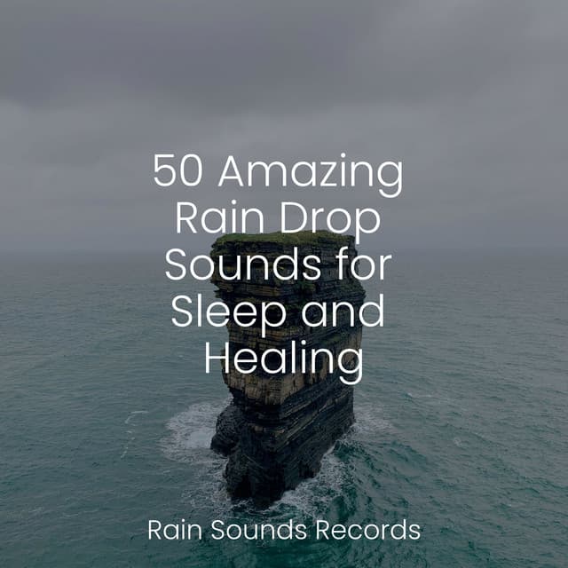 50 Amazing Rain Drop Sounds for Sleep and Healing - Naturaleza Sonidos