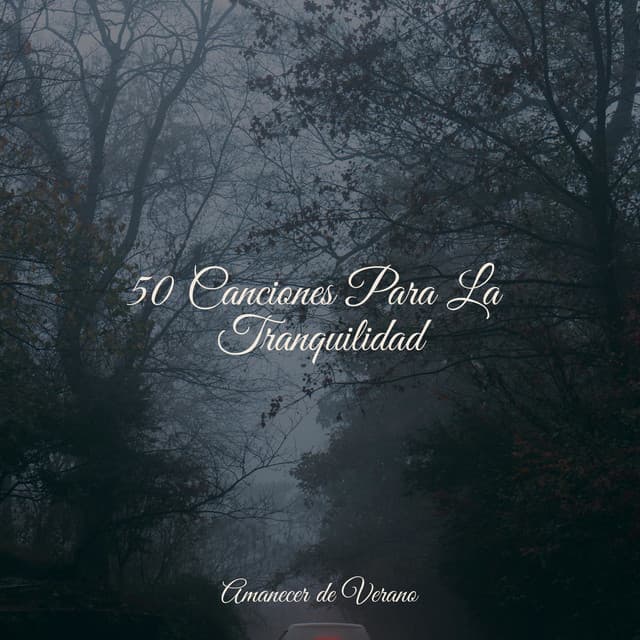 50 Canciones Para La Tranquilidad - Relajación Piano