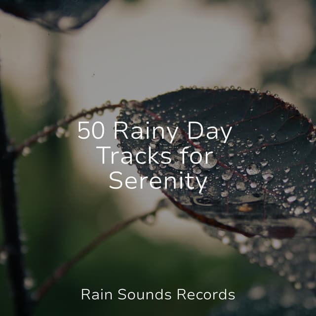 50 Rainy Day Tracks for Serenity - Avslappning Sound