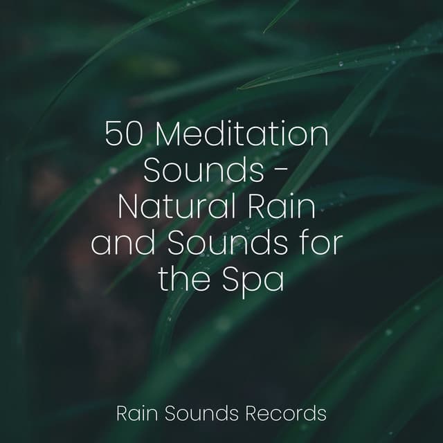 50 Meditation Sounds - Natural Rain and Sounds for the Spa - Calming Waves