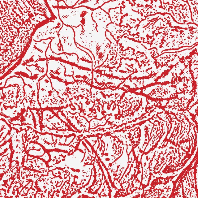 Materializing Defective Fascia - Sissy Spacek