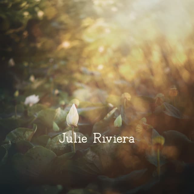 Stillness & Light Oasis - Julie Riviera