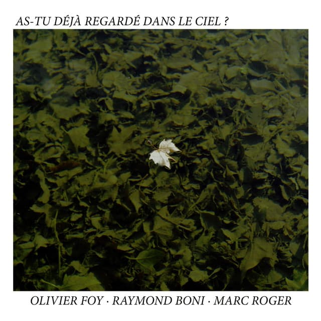 As-Tu déjà regardé dans le ciel ? - Olivier Foy