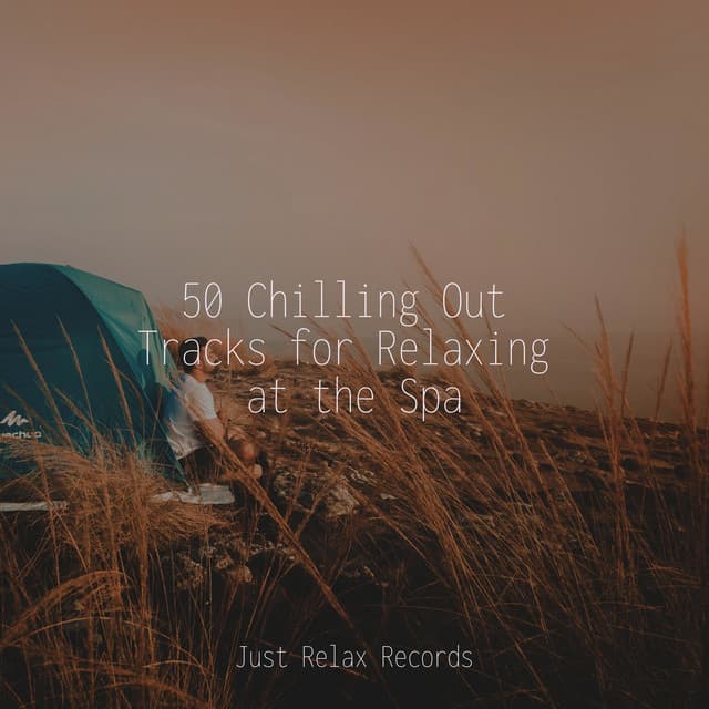 50 Chilling Out Tracks for Relaxing at the Spa - Music For Absolute Sleep