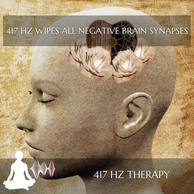417 Hz Wipes All Negative Brain Synapses - 417 Hz Therapy