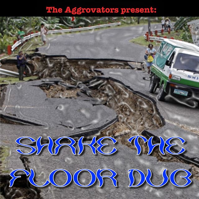 The Aggrovators Present: Shake the Floor Dub - The Aggrovators