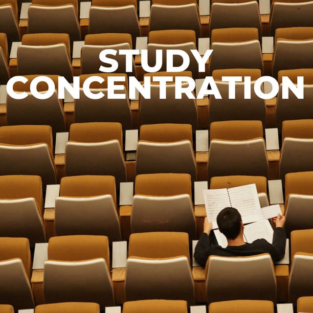 Study Concentration - Concentration Soundtracks