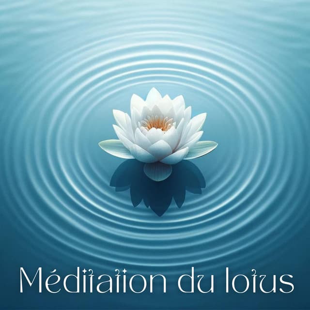 Méditation du lotus - Ana Silencio