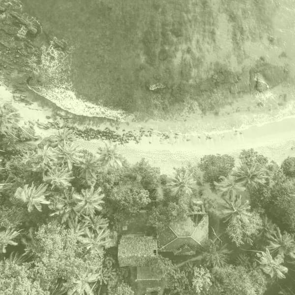 Bossa Saxophone - Ambiance for Travels - Cafe Jazz Deluxe