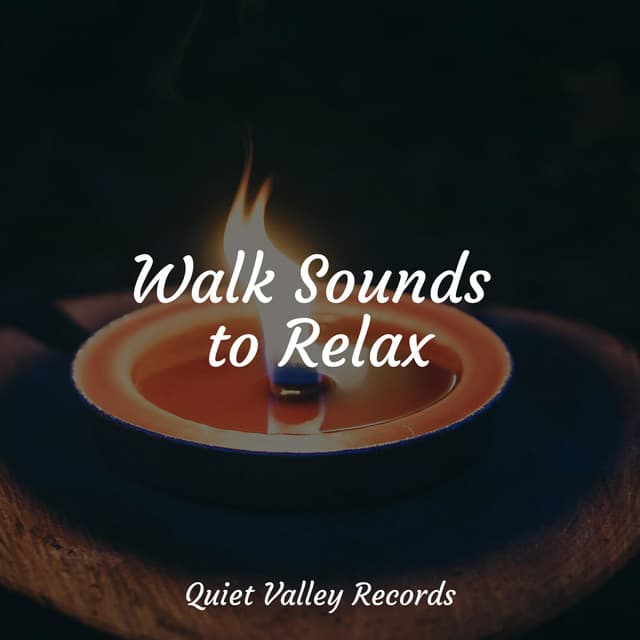 Walk Sounds to Relax - Deep Relaxation Meditation Academy