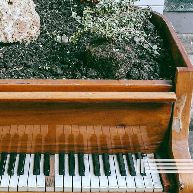 Piano Tranquility - Peaceful Piano Temple