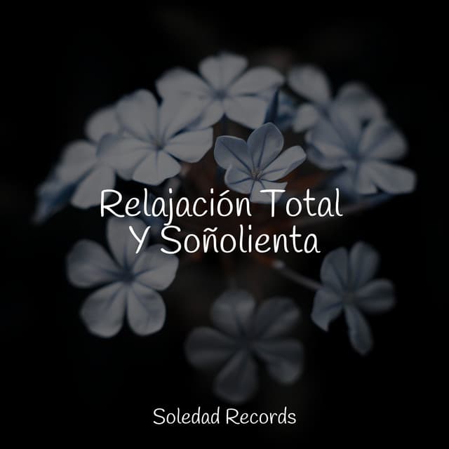 Relajación Total Y Soñolienta - Musica Para Dormir y Sonidos de la Naturaleza