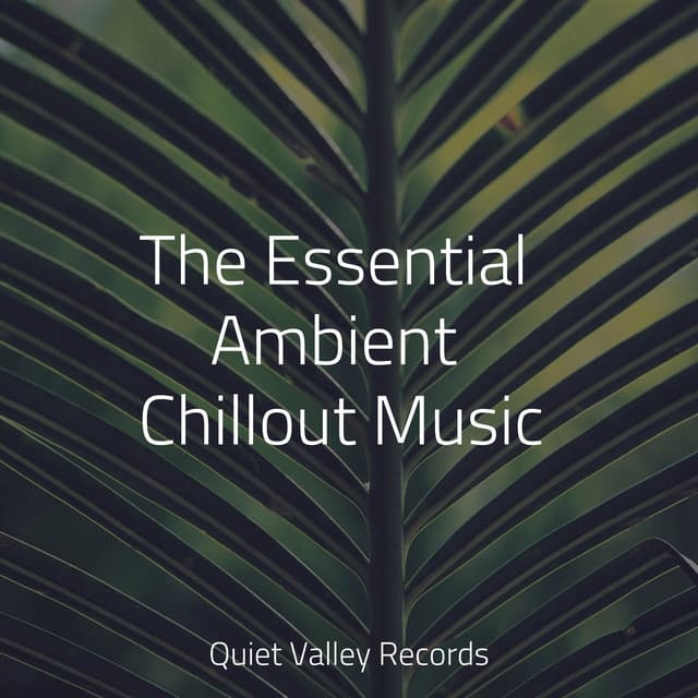 The Essential Ambient Chillout Music - Tailormade Ocean Waves