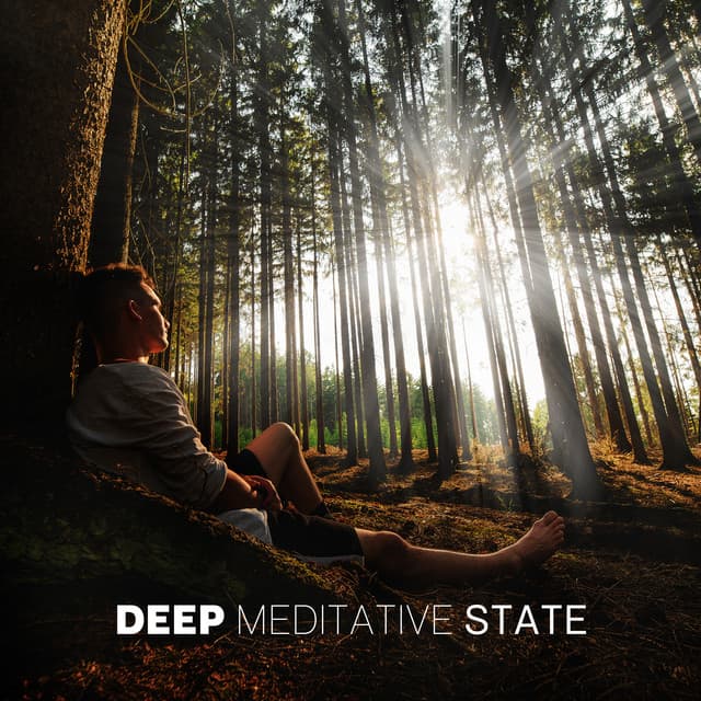 Deep Meditative State: Chill, Study or Sleep - Relaxation And Meditation