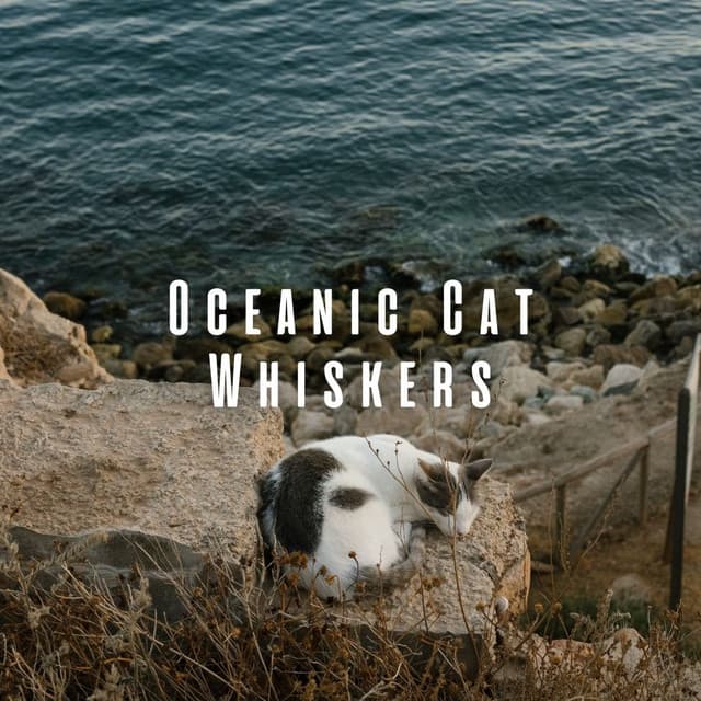 Oceanic Cat Whiskers: Binaural Sounds for Relaxed Cats - Oceans and Oceans