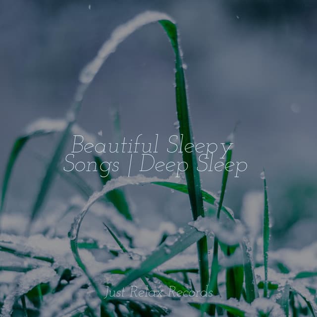 Beautiful Sleepy Songs | Deep Sleep - Relaxing Spa Music