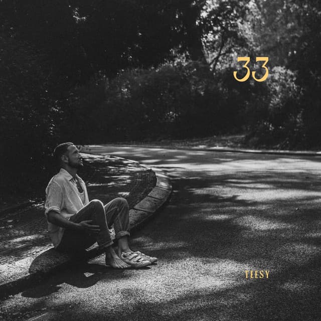 33 - Teesy