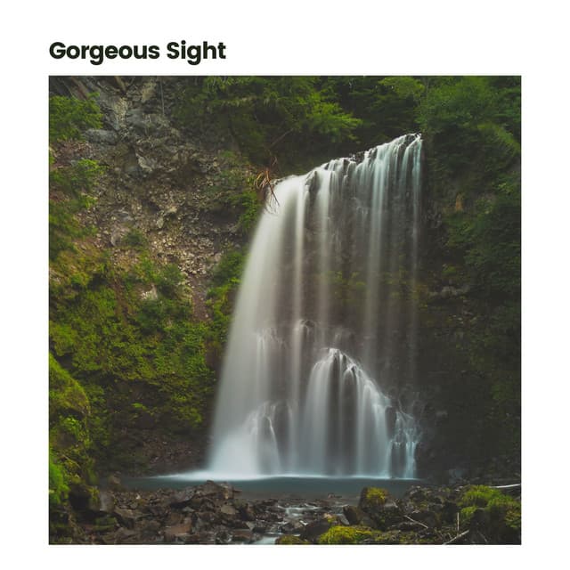 Gorgeous Sight - Water Soundscapes