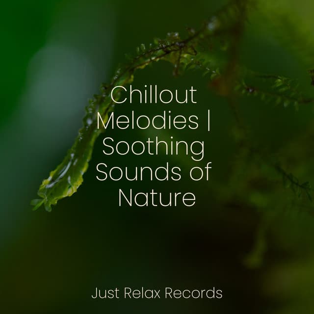 Chillout Melodies | Soothing Sounds of Nature - Nature Sound Collection