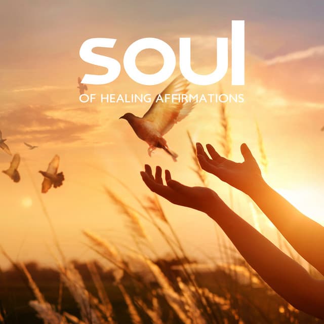 Soul of Healing Affirmations - Reiki Music Zone