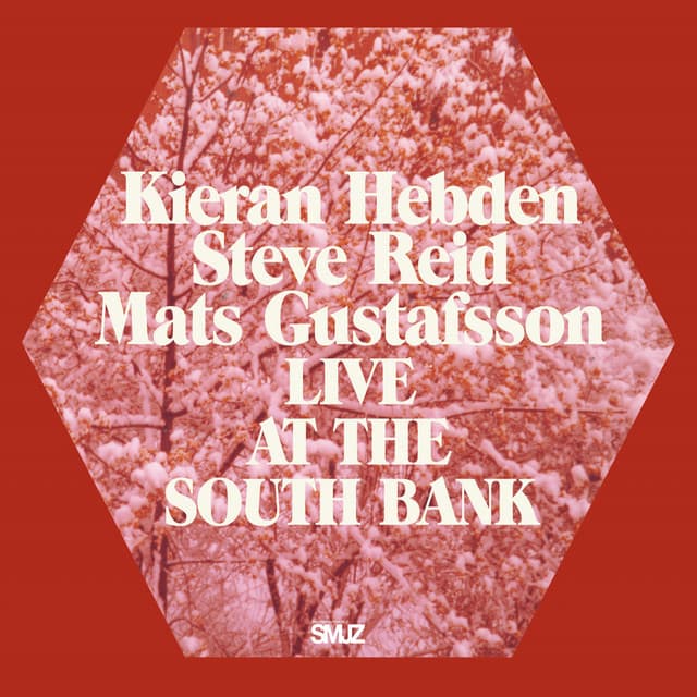 Live at the South Bank - Kieran Hebden