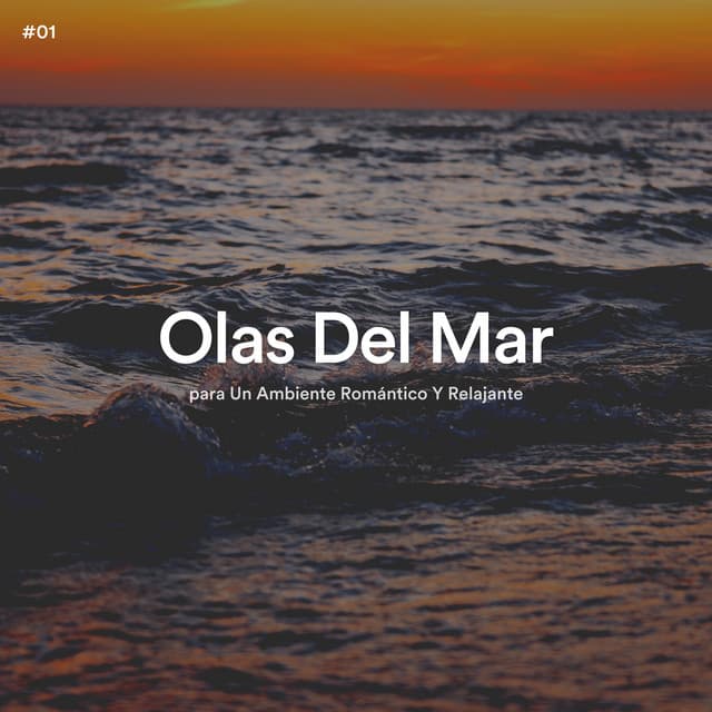 #01 Olas Del Mar para Un Ambiente Romántico Y Relajante - Olas del Mar