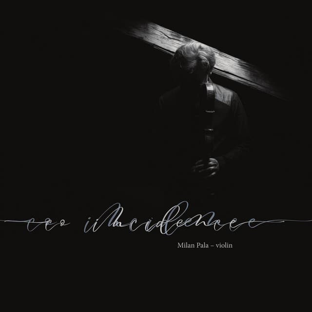 Co-incidence: Milan Pala – Violin - Milan Pala